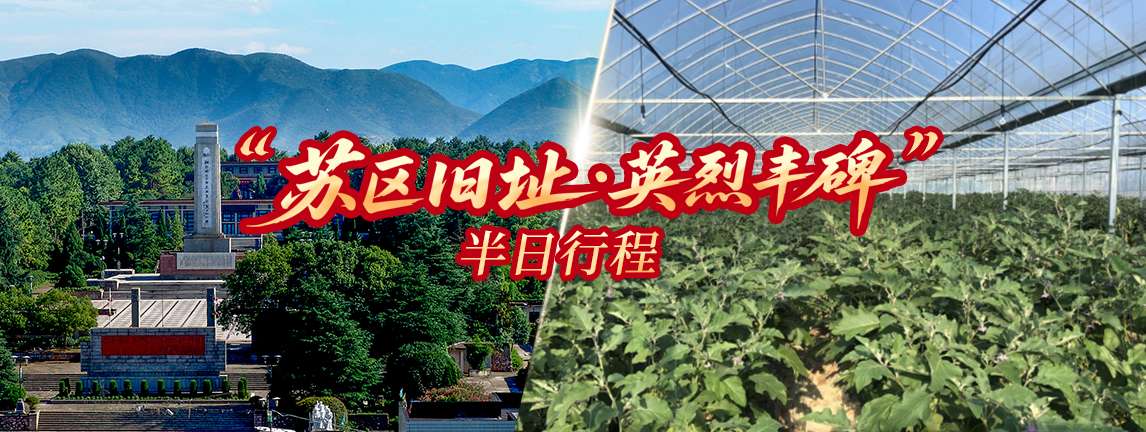 二日游
